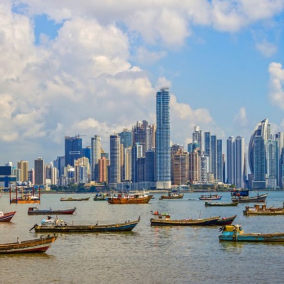 Meet your Posher, Maya - Picture 1 of 1